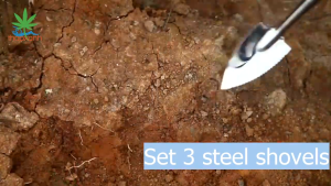 Bộ dụng cụ làm vườn 3 món inox không gỉ ( Gồm 1 xẻng 1 xúc 1 cào) VX04