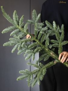 กิ่งไม้สนสดธรรมชาติ DIY แฮนด์เมด ตกแต่งต้นไม้คริสต์มาส กิ่งไม้สนพร้อมเมล็ดสำหรับตกแต่งบ้าน วัสดุไม้