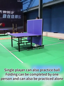 Standard Table Tennis Table Rainproof Sunproof Professional Training Foldable Ping Pong Table with Wheels Indoor Outdoor Sports Table