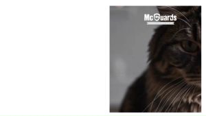 แมคการ์ด (McGuards) ทรายแมวจับตัวเป็นก้อน รักษ์โลก คาร์บอนต่ำ ทำปุ๋ยหมักและย่อยสลายได้ 100% จำกัดกลิ่น ไม่ทิ้งเศษ