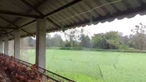 พ่นหมอก ควบคุมด้วยไวไฟ ระบบไทม์เมอร์ ตั้วเวลา คุณสมบัติและพร้อมใช้งาน