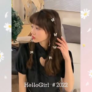 คลิปผมเกาหลี คลิปผมผีเสื้อเล็ก คลิปผีเสื้อใส คลิปผมผู้หญิง อุปกรณ์เสริมผม Pinapple