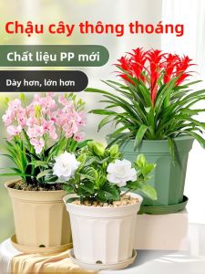 MONLEYTA | Thùng trồng cây nhựa dày bền bỉ phong cách Bắc Âu cho hoa và cây xanh lớn chuyên dụng cho cây nhiệt đới trong nhà