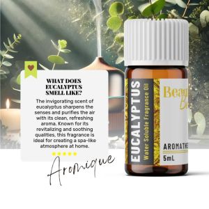 EUCALYPTUS Water-Based Fragrance Oil for Refreshing Home Diffuser & Humidifier - Clean 5mL Aromique