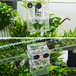 สินค้าอยู่ในไทย พร้อมส่ง😺กล่องเพาะพันธุ์ปลา แบบสองรู ขนาดเล็ก สําหรับตู้ปลา