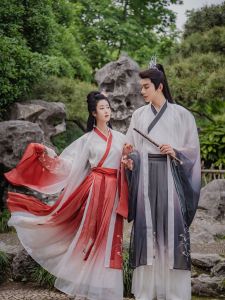 Original Design Wei Jin Style Martial Artist Waist Length Skirt Men Women Couple Hanfu Traditional Chinese Clothing Collar Print Casual Spring Polyester