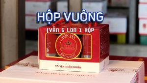 YẾN LON QUEENNEST 1% 190ML (HỘP VUÔNG - 6 LON)