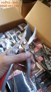 Kéo cắt cành cây mini nhật bản 210 tỉa cành cây trên cao đa năng tiện lợi