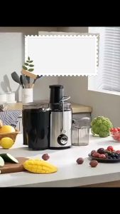 HAN RIVER STAINLESS STEEL JUICER