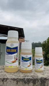 Insektisida Buldok 25EC 100 ml Obat Pembasmi Hama Ulat Kutu Daun dan Lalat Buah