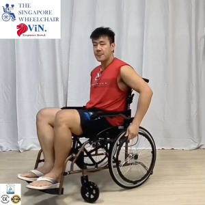 ViN-DY878 Lightweight Propelled Wheelchair for Elderly Washable Removeable Cushion Self Push Propelled Armrest Lift Up Easy Transfer Footrest Fold Up Compact 18 inch Seat Width