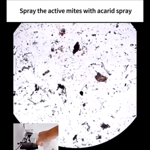 【My back doesn’t itch anymore!】MNY Natural Bed bug spray killer Dust mite spray Bed bug killer Harmless to babies and pets Bedbugs killer spray 除螨喷雾剂 螨虫喷雾剂