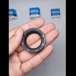 Seal Tc4 27 39 10.5 Nok INB JEMBER