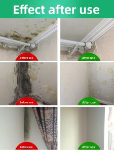 PITT ROAD | Mold Removal & Prevention Wall Cleaner