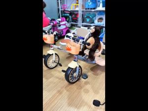 รถจักรยานสามล้อเด็ก 2 ที่นั่ง รุ่น CP-3661 มีตะกร้าหน้า พร้อมพนักพิง โครงสร้างเหล็กแข็งแรง