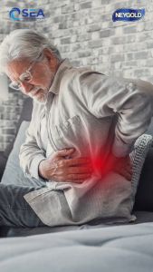 NEW DATE NeyGold Powdered Milk Helps Restore And Improve Kidney Function Low Protein Nutrition for People With Kidney Failure