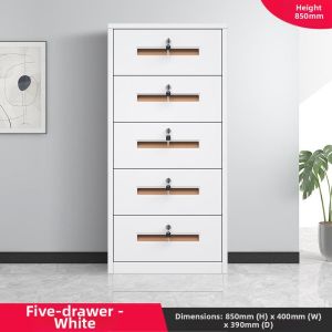 Mobile Secure Steel Storage Cabinet