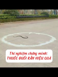 Thuốc đuổi rắn dạng viên an toàn với người thích hợp cho nền xi măng sân vườn xua đuổi rắn rếch