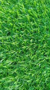 (แบ่งตัด 2-10 ตรม.)หญ้าเทียม 2 cm.พรีเมี่ยม ทอหนาแน่น แบบแบ่งตัด ราคาถูก ใช้แต่งบ้าน แต่งสวนให้ดูดีสวยงาม ใช้งานได้ทั้งกลางแจ้งและที่ร่ม