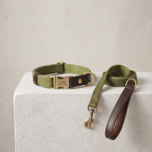 JINLINGJIE | Customizable Small Dog Collar