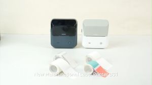 NIIMBOT B31 Thermal Label Printer Portable Wireless Inkless Label Maker Supermarket Clothing Office Barcode Price Tag Large Size Multifunctional Label Machine Included Label Paper