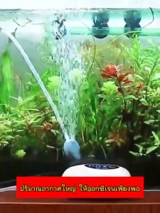 พกพา อ๊อกซิเจนปลา รุ่น จำนวน 40 ปริมาณ พิเศษ จัดส่งจากกทม
