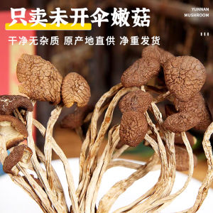 Freshly Picked Tea Tree Mushrooms Dried Soup Making Farmhouse Style No Umbrella Opening 500g High Quality Mushroom Gourmet