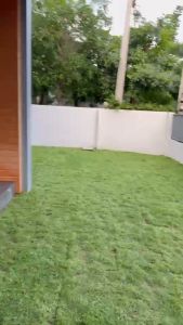 หญ้าสด (Natural grass)หญ้าปูสนาม หญ้าคลุมหน้าดิน จัดสวน ขนาด 50x100cm ต่อแผ่น ครึ่งตารางเมตร