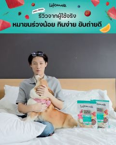 (2-3กิโล) Lifemate【อาหารสุนัข】ไลฟ์เมท อาหารเม็ดสุนัข ทุกสูตร เสริมภูมิคุ้มกันอีกขั้นด้วย Superfood