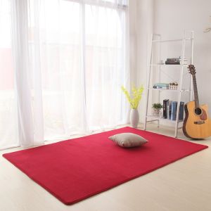 Thảm Sợi San Hô VIKAMA Thảm Đơn Sắc Đơn Giản Cho Phòng Ngủ Phòng Khách Sofa Bàn Cà Phê - Trang Trí Nhà Trong Nhà Chống Trơn Trượt Chống Thấm Nước