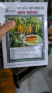 Hạt Giống Ớt Sừng Vàng SH150 SEN HỒNG (GÓI 5gr) - Trái đẹp vỏ bóng thịt dày màu đẹp