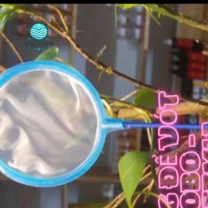 Combo Vợt Nano 10cm vớt bobo trùn chỉ dọn dẹp bể cá - an toàn cho cá dễ dàng sử dụng