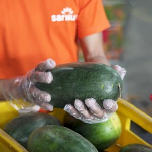 SukiGrocer Sili Sigang Green 90-100g / 230-250g