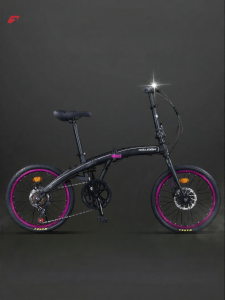 Raleigh | Folding Adjustable Speed Lightweight Adult Bike 20 inch