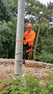 Braun Mall - อุปกรณ์ปีนต้นไม้ อุปกรณ์ปีนเสาไม้ รองเท้าเดินป่า + เข็มขัดนิรภัย เข็มขัดปีนหน้าผา เข็มขัดนิรภัย