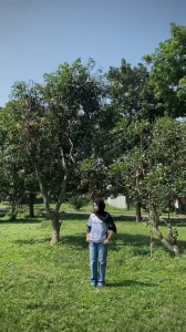 TWNB JERSEY LUFFFY AWAKENS - JERSEY ANIME ONE PIECE - JERSEY VINTAGE KOREA - JERSEY HYPE