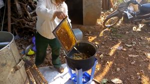 Mật ong hoa cà phê tự nhiên Đăk Lăk chai 500ml