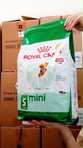 Royal Canin Mini Adult อาหารสุนัขแบบเม็ด สำหรับสุนัขโต พันธุ์เล็ก (ขนาด 2 kg.) หมดอายุปี 2026