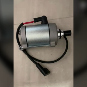 TRS Dinamo Starter 11t Motor Roda Tiga Kaisar Jialing Nozomi Spareparts Original TRS JAKARTA