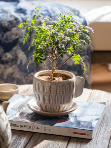 Creative Small Ceramic Succulent Planters Mini Coffee Cup Shaped Flower Pots Desktop Decorations Nordic Style Home Ornaments