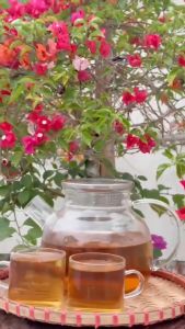 TRÀ DIẾP CÁ LỤA VY thanh nhiệt thải độc cơ thể - 35 túi lọc