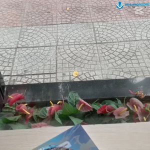 Sách - Kiếm Tiền Cùng ChatGPT - Vào nghề ChatGPT Chỉ Trong 5 Giờ Học - Vanlangbooks