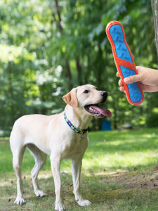 CAITEC Dog Toy Sound Making Fabric Toy Elastic Bone Chew Proof Teeth Grinding Relief Boredom Buster for Golden Retrievers