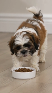 Royal Canin Shih Tzu Puppy 500g Dry Dog Food | Breed Health Nutrition for Puppies Up to 10 Months | Supports Immune System Digestive Health Good Stool Quality and Healthy Skin & Beautiful Coat [New Stock]