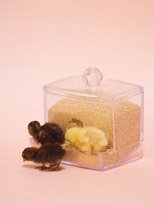 Rutin chicken brooding feed - 2.5kg special pet chicken young chicken opening grain Savoy quail Ludin food grain