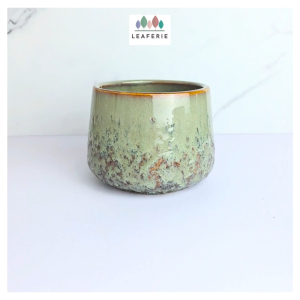 The Leaferie Tero plant pots. flowerpot . flowerpots . flower pot planter planters Ceramic Plants