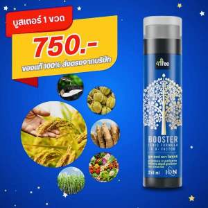 4Tree Booster โฟร์ทรี บูสเตอร์ ไคโตซานบริสุทธิ์จากธรรมชาติ เป็นมิตรต่อสิ่งแวดล้อม ส่งเสริมการเจริญเติบโตของราก ลำต้น ใบ ของแท้100%