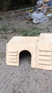 เฉียงกลาง บ้านไม้กระต่าย และสไตร์มินิมอล ที่นอนแกสบี้ ที่อาศัยเม่นแคระ