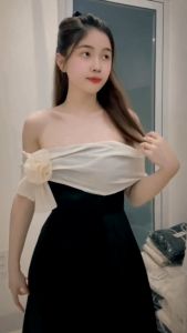 Đầm dự tiệc dáng xòe phối voan trễ vai đính hoa Hirin Dress