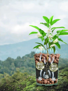 Loolecondera | Multipurpose Bottom and Surface Decor Garden Pellets